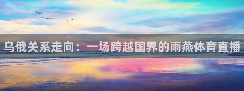 blty33西瓜看球