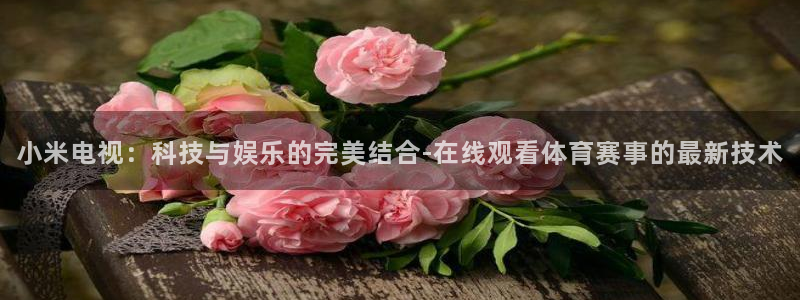 体育新闻