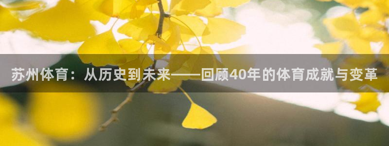 西瓜看球在线直播免费观看直播