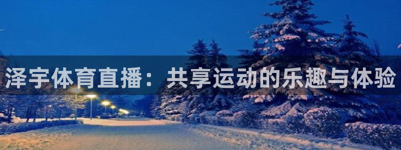 西瓜看球看不了