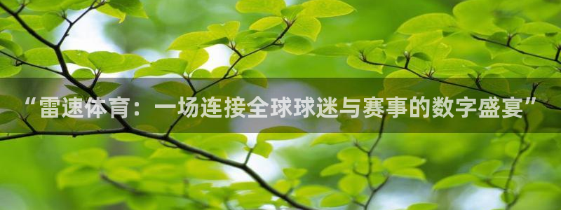 西瓜看球在线直播