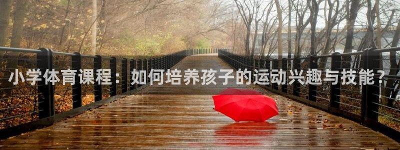 西瓜看球在线