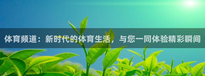 西瓜看球手机版