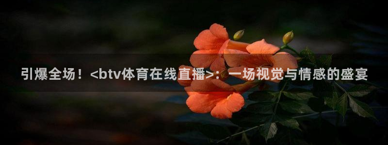 西瓜看球免费观看