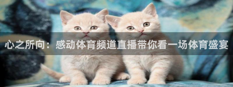 体育新闻
