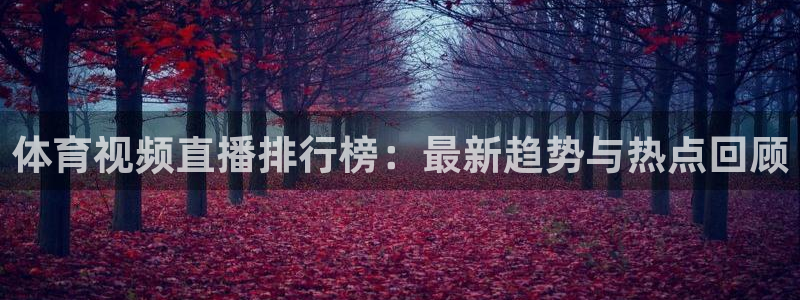 体育新闻